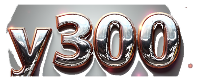 y 300 logo